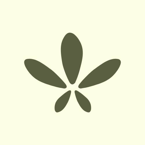 medical cannabis